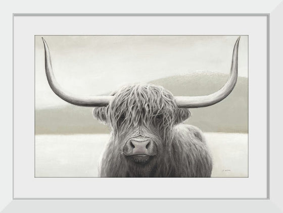 “Highland Cow Neutral“, James Wiens