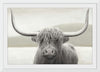 “Highland Cow Neutral“, James Wiens