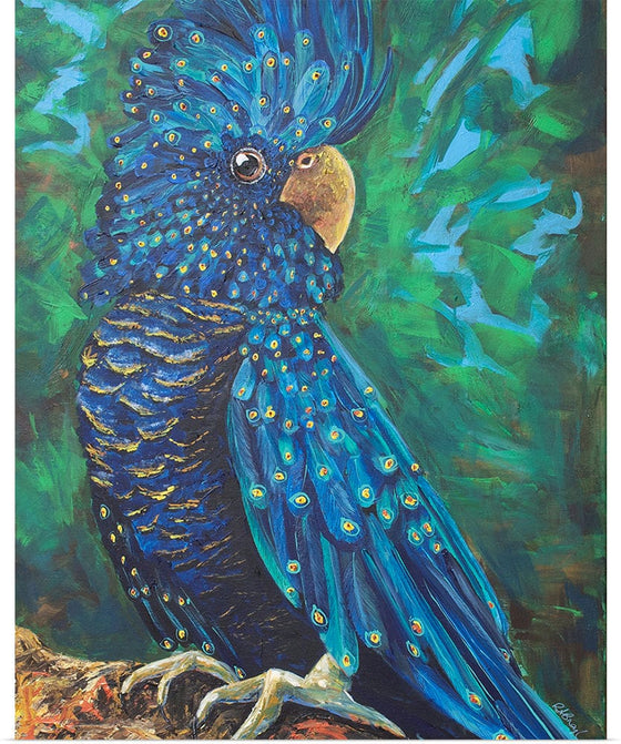 “Peacockatoo“, Rachel Braybon