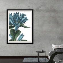  “Botanique II no Words Crop” by Jeanette Vertentes invites you into a world of tranquil beauty. This captivating print, framed in sleek black, showcases an intricate botanical illustration. Verdant blue-green leaves and delicate flowers intertwine, evoking a sense of serenity.