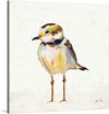 “Coastal Plover II Linen“, Jeanette Vertentes