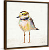 “Coastal Plover II Linen“, Jeanette Vertentes