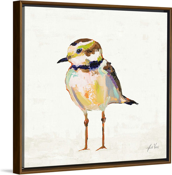 “Coastal Plover II Linen“, Jeanette Vertentes