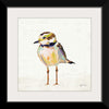 “Coastal Plover II Linen“, Jeanette Vertentes