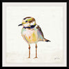 “Coastal Plover II Linen“, Jeanette Vertentes