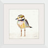 “Coastal Plover II Linen“, Jeanette Vertentes