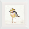 “Coastal Plover II Linen“, Jeanette Vertentes