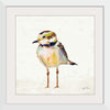 “Coastal Plover II Linen“, Jeanette Vertentes