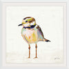 “Coastal Plover II Linen“, Jeanette Vertentes