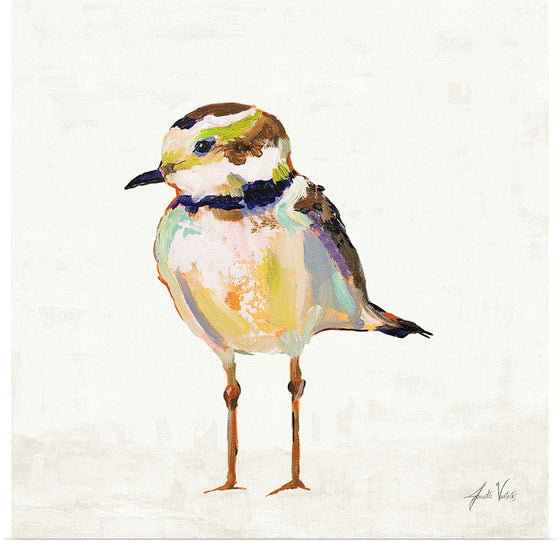 “Coastal Plover II Linen“, Jeanette Vertentes