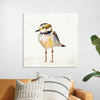 “Coastal Plover II Linen“, Jeanette Vertentes