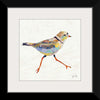 “Coastal Plover I Linen“, Jeanette Vertentes