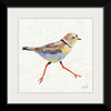 “Coastal Plover I Linen“, Jeanette Vertentes