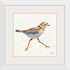 “Coastal Plover I Linen“, Jeanette Vertentes