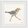 “Coastal Plover I Linen“, Jeanette Vertentes