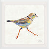 “Coastal Plover I Linen“, Jeanette Vertentes