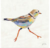 “Coastal Plover I Linen“, Jeanette Vertentes