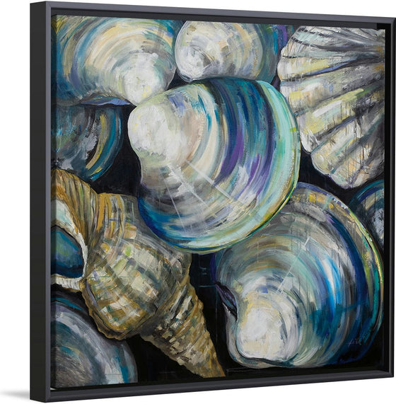 “Key West Shells“, Jeanette Vertentes