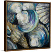 “Key West Shells“, Jeanette Vertentes