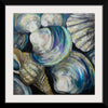 “Key West Shells“, Jeanette Vertentes