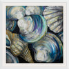 “Key West Shells“, Jeanette Vertentes