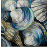 “Key West Shells“, Jeanette Vertentes