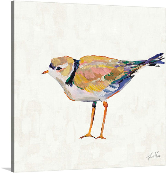 “Coastal Plover IV Linen“, Jeanette Vertentes