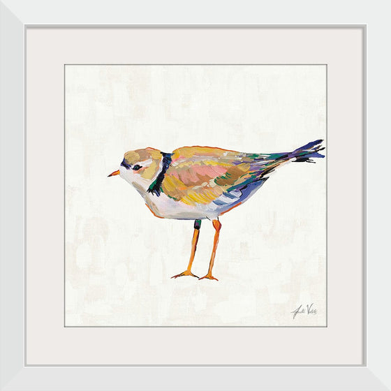 “Coastal Plover IV Linen“, Jeanette Vertentes