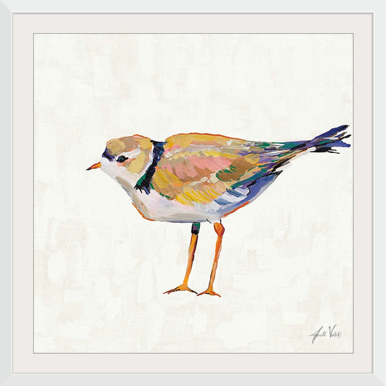 “Coastal Plover IV Linen“, Jeanette Vertentes