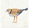 “Coastal Plover IV Linen“, Jeanette Vertentes