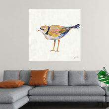  “Coastal Plover IV Linen” by Jeanette Vertentes: Immerse yourself in the serene beauty of this exquisite print. Every brushstroke captures the delicate grace of a coastal plover, bringing nature’s untouched beauty into your living space. The symphony of colors seamlessly blending into one another encapsulates the bird’s ethereal presence against a tranquil linen backdrop. 