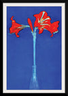 “Amaryllis (1910)“, Piet Mondrian