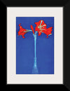 “Amaryllis (1910)“, Piet Mondrian