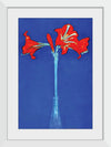 “Amaryllis (1910)“, Piet Mondrian