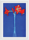 “Amaryllis (1910)“, Piet Mondrian