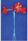 “Amaryllis (1910)“, Piet Mondrian