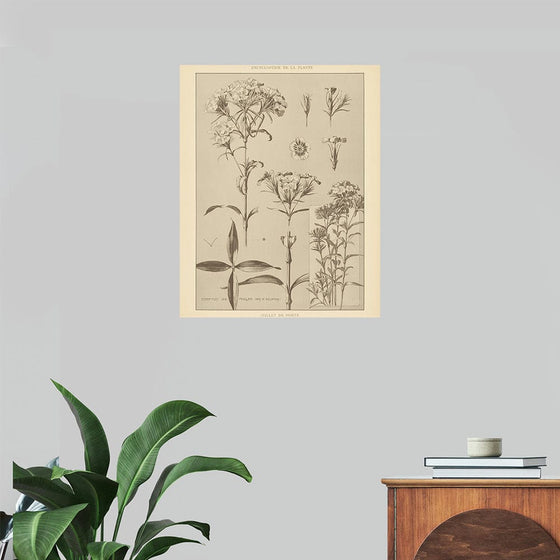 “Lithograph Florals III Crop“, Wild Apple