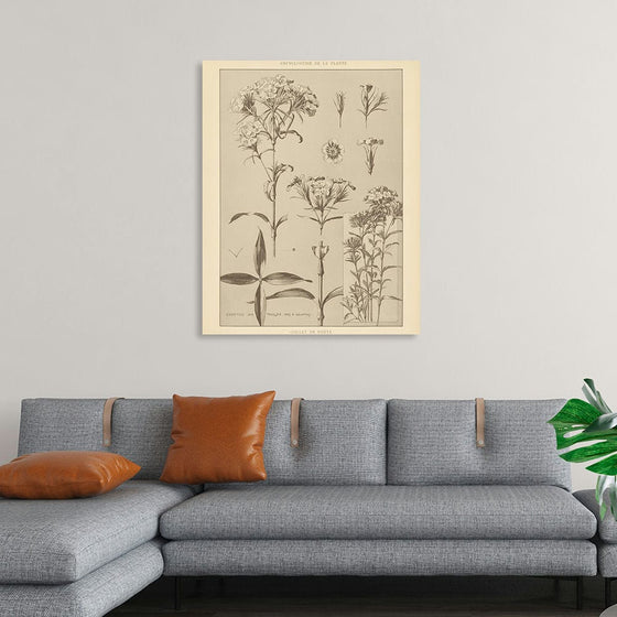 “Lithograph Florals III Crop“, Wild Apple