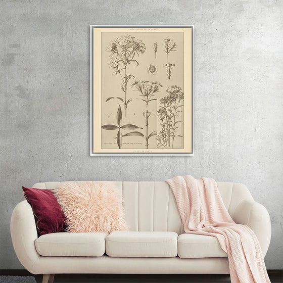 “Lithograph Florals III Crop“, Wild Apple