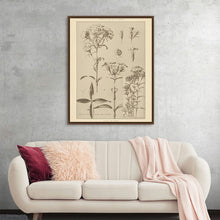  "Lithograph Florals III Crop" by Wild Apple is a stunning botanical illustration, showcasing a variety of delicate flowers in exquisite detail. The intricate pen-and-ink drawing captures the beauty and complexity of nature, making it a perfect addition to any home or office. This timeless piece is a celebration of the natural world and a testament to the artistry of botanical illustration.