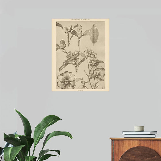 “Lithograph Florals II Crop“, Wild Apple