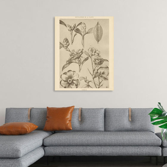 “Lithograph Florals II Crop“, Wild Apple