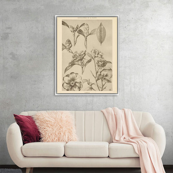 “Lithograph Florals II Crop“, Wild Apple