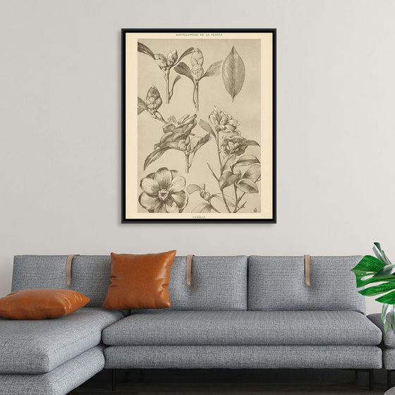 “Lithograph Florals II Crop“, Wild Apple