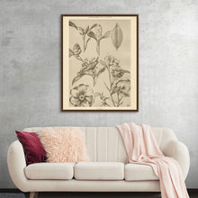  "Lithograph Florals II Crop" by Wild Apple is a captivating botanical illustration, showcasing the delicate beauty of camellia flowers in various stages of bloom. The intricate pen-and-ink drawing captures the intricate details of the petals, leaves, and buds, making it a perfect addition to any home or office. This timeless piece is a celebration of the natural world and a testament to the artistry of botanical illustration.