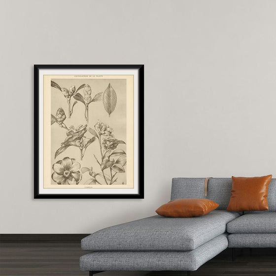 “Lithograph Florals II Crop“, Wild Apple