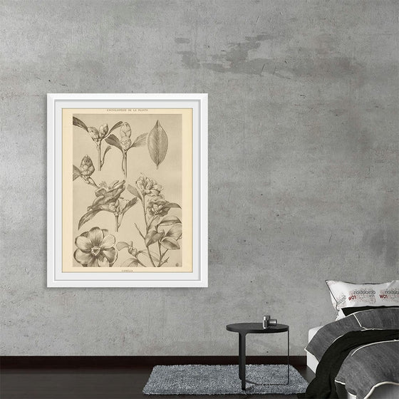 “Lithograph Florals II Crop“, Wild Apple