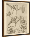 “Lithograph Florals II Crop“, Wild Apple