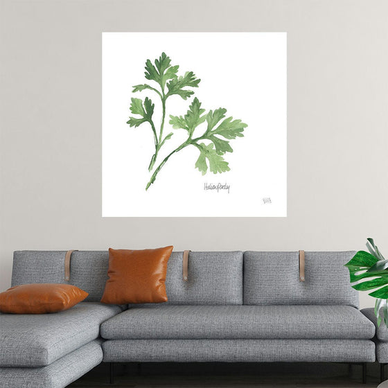 Italian Parsley v2 by Chris Paschke is a delicate and inviting watercolor that celebrates the beauty of a simple herb. The painting features two sprigs of Italian parsley, rendered in a soft, green hue that captures their fresh and vibrant nature. The artist's attention to detail is evident in the subtle variations in texture and tone, creating a sense of depth and realism. This piece is perfect for those who appreciate the beauty of nature and the simplicity of botanical art.