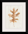 “Fallen Leaf I Texture“, Danhui Nai